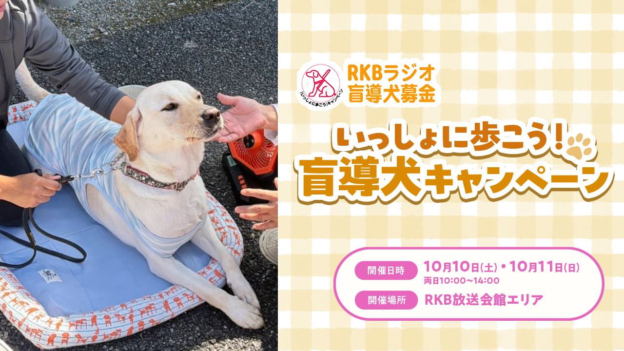 タダイマスタジオ見学