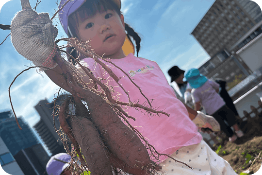 収穫を体験する子ども